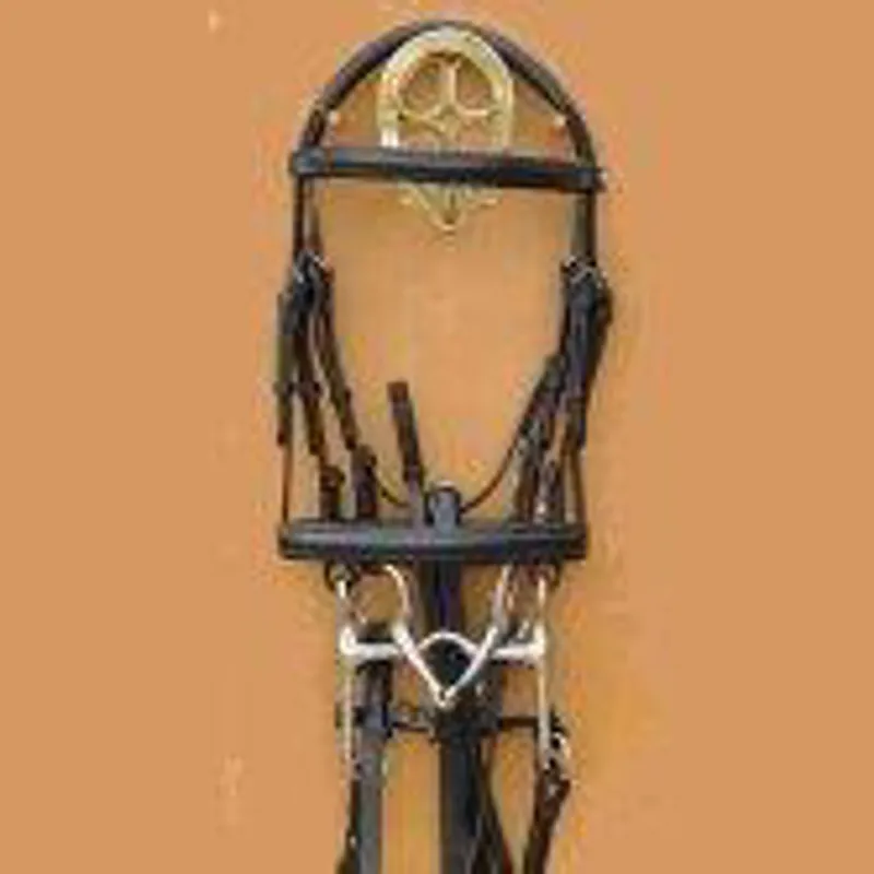 Barnsby Pony Sized Padded Head Weymouth Bridle